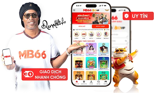 Tổng quan về chương trình VIP